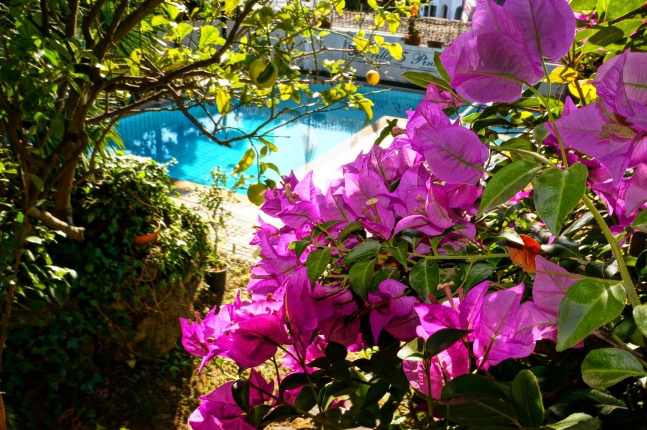 Villa Cinque Pini Casamicciola Terme Exterior foto