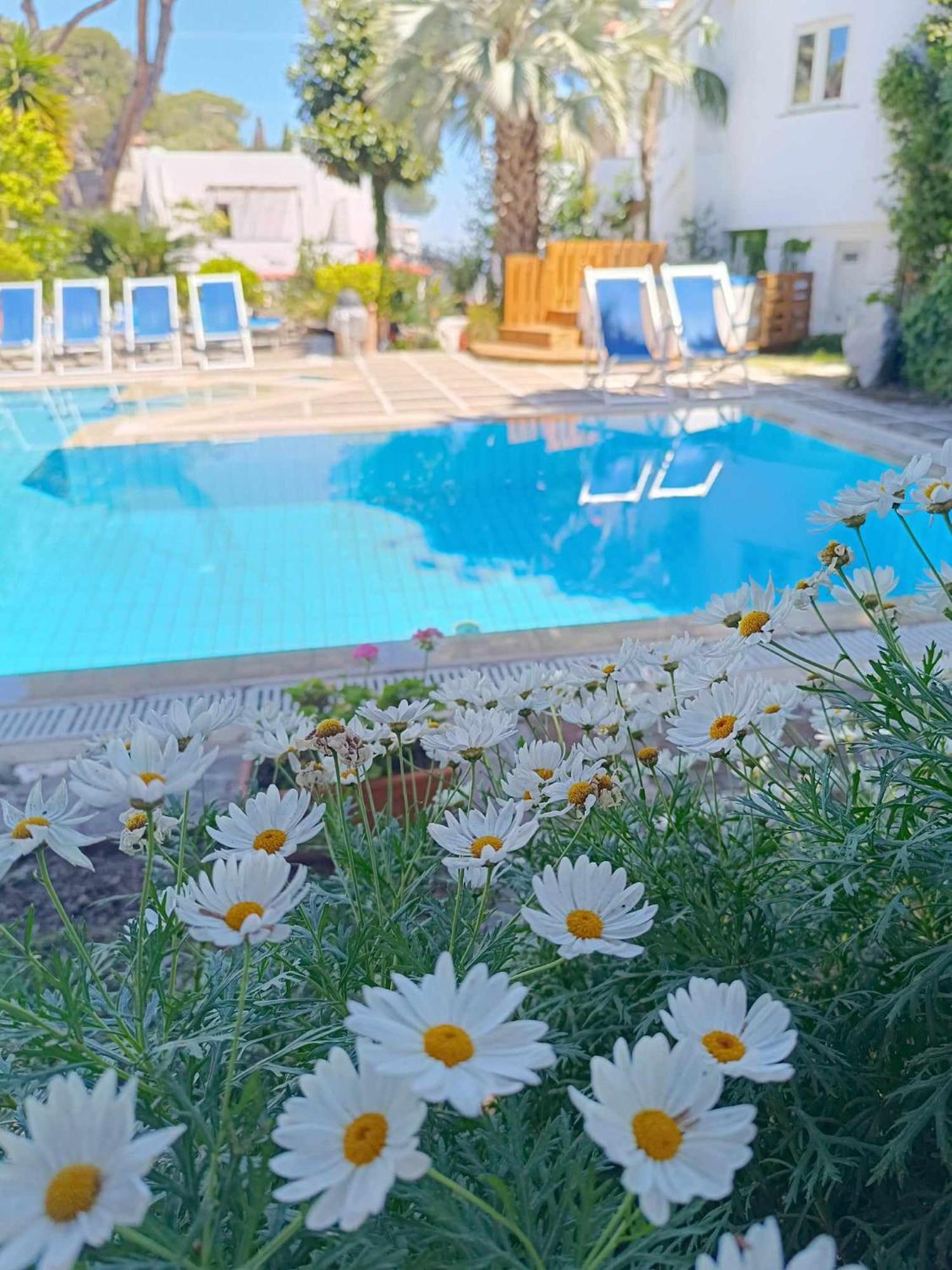 Villa Cinque Pini Casamicciola Terme Exterior foto