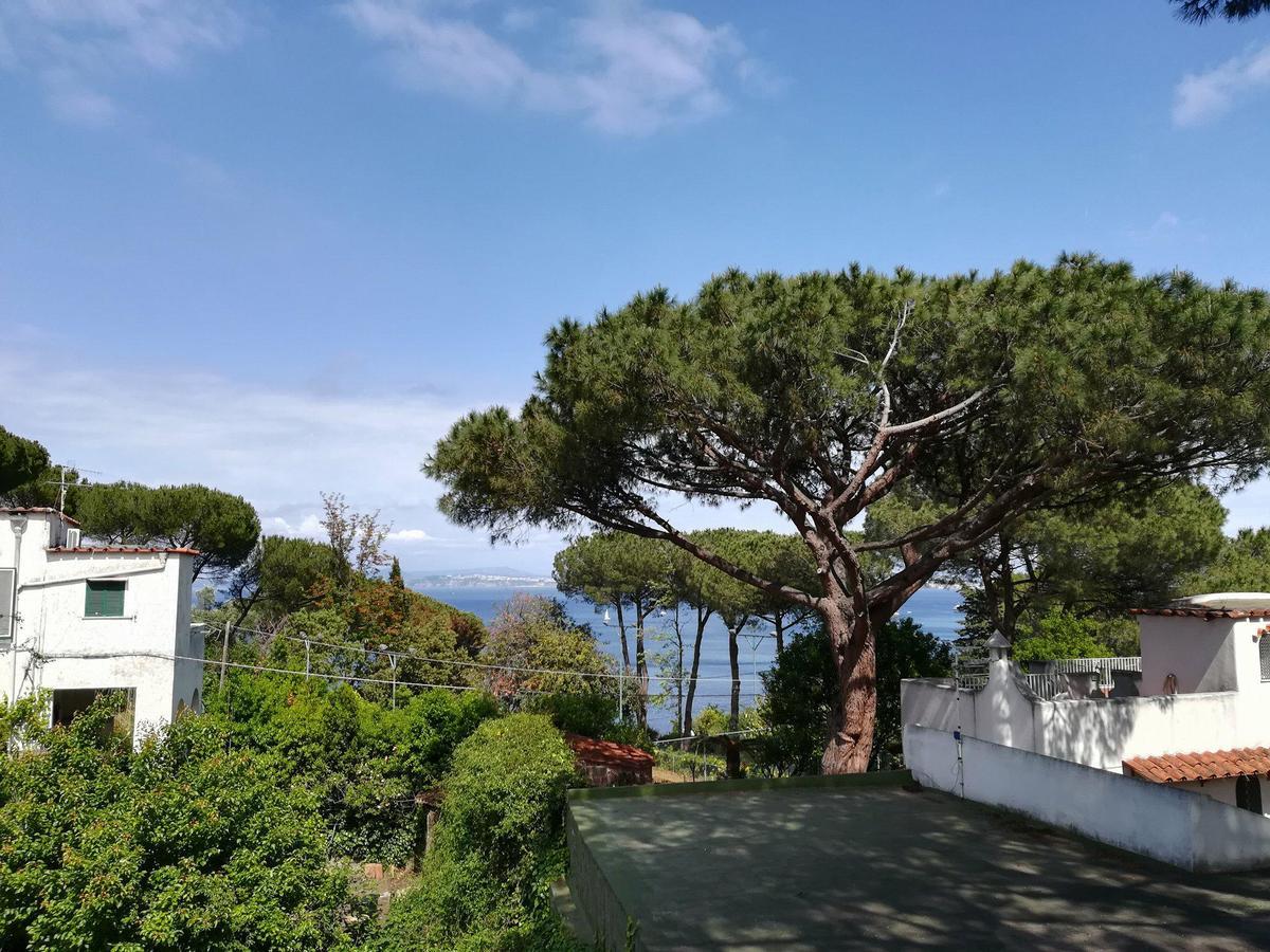 Villa Cinque Pini Casamicciola Terme Exterior foto